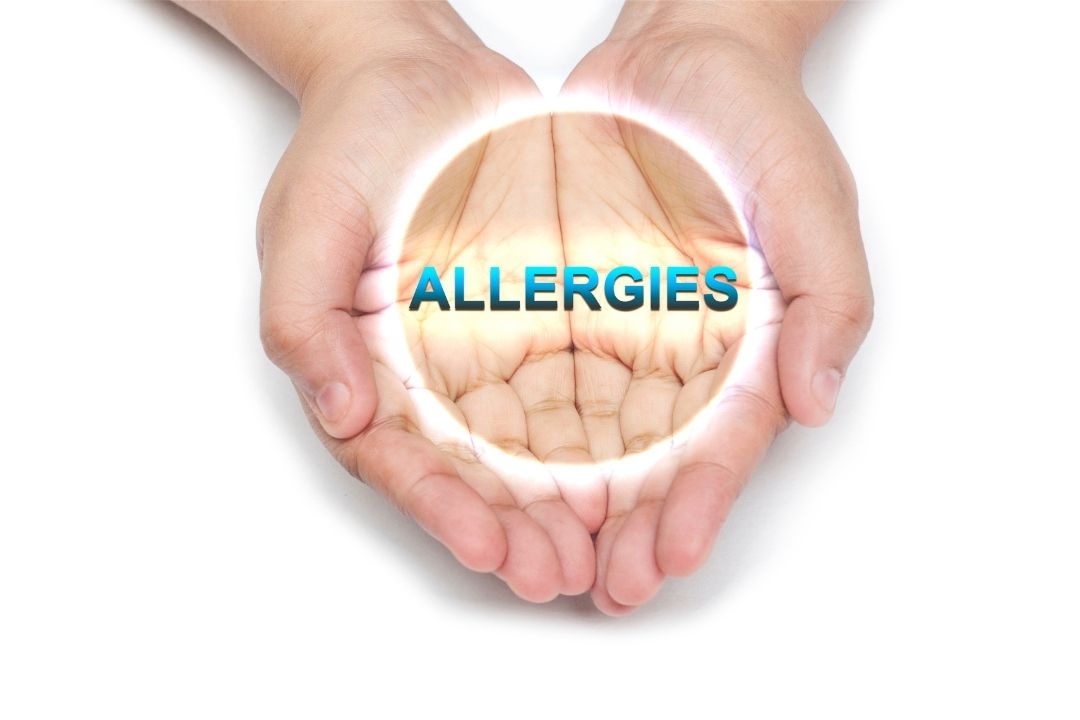 pet dander allergies
