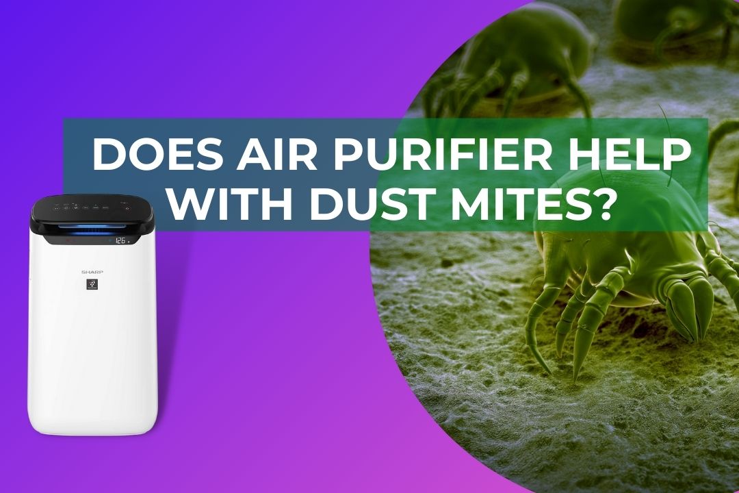 Does Air Purifier help with dust mites?