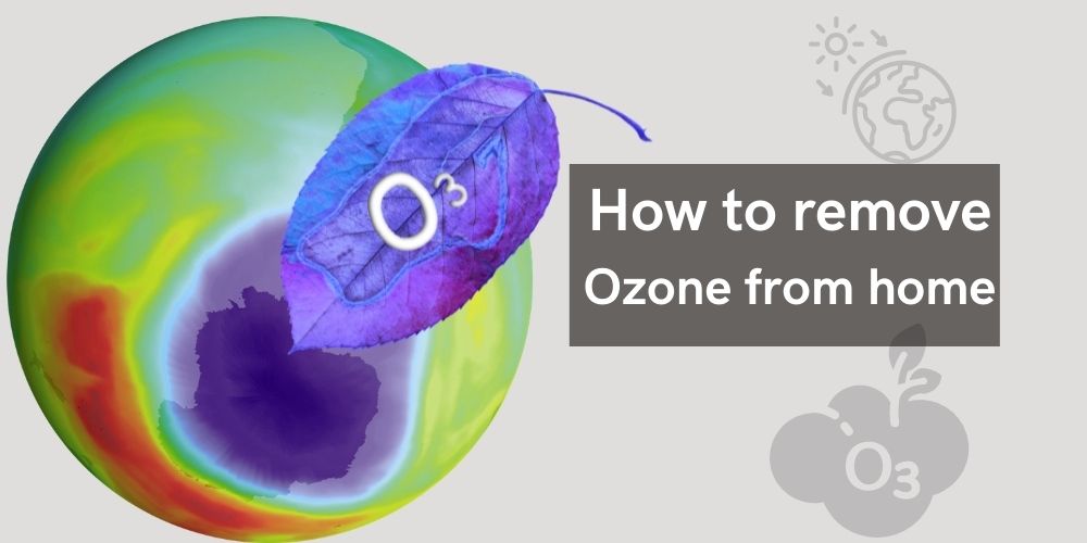 how to remove ozone from your home