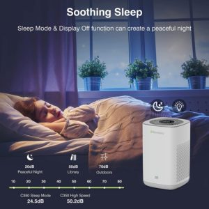 Storebary Air Purifier Online Review